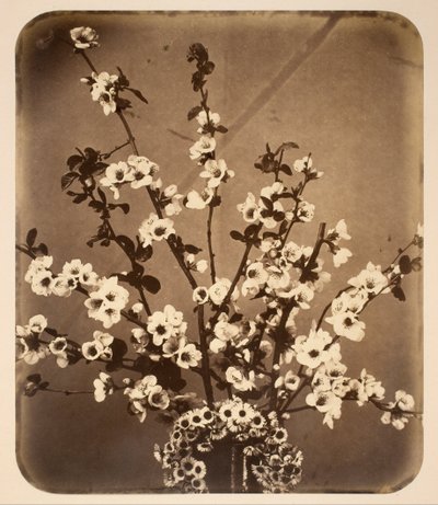 Blumenstillleben von Adolphe Braun